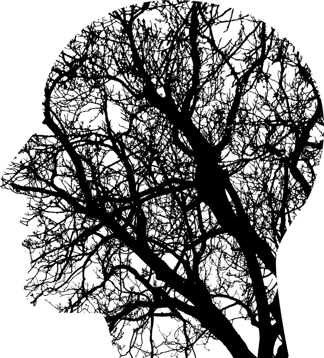 unknown-1769656-1280