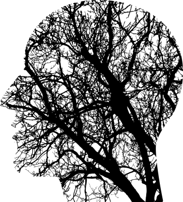 unknown-1769656-1280