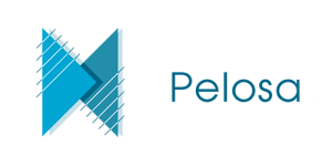 Pelosa-sponsor