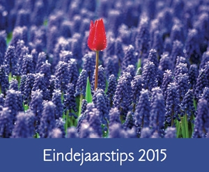 MTH-Eindejaarstips 2015