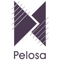 Pelosa-dec2015